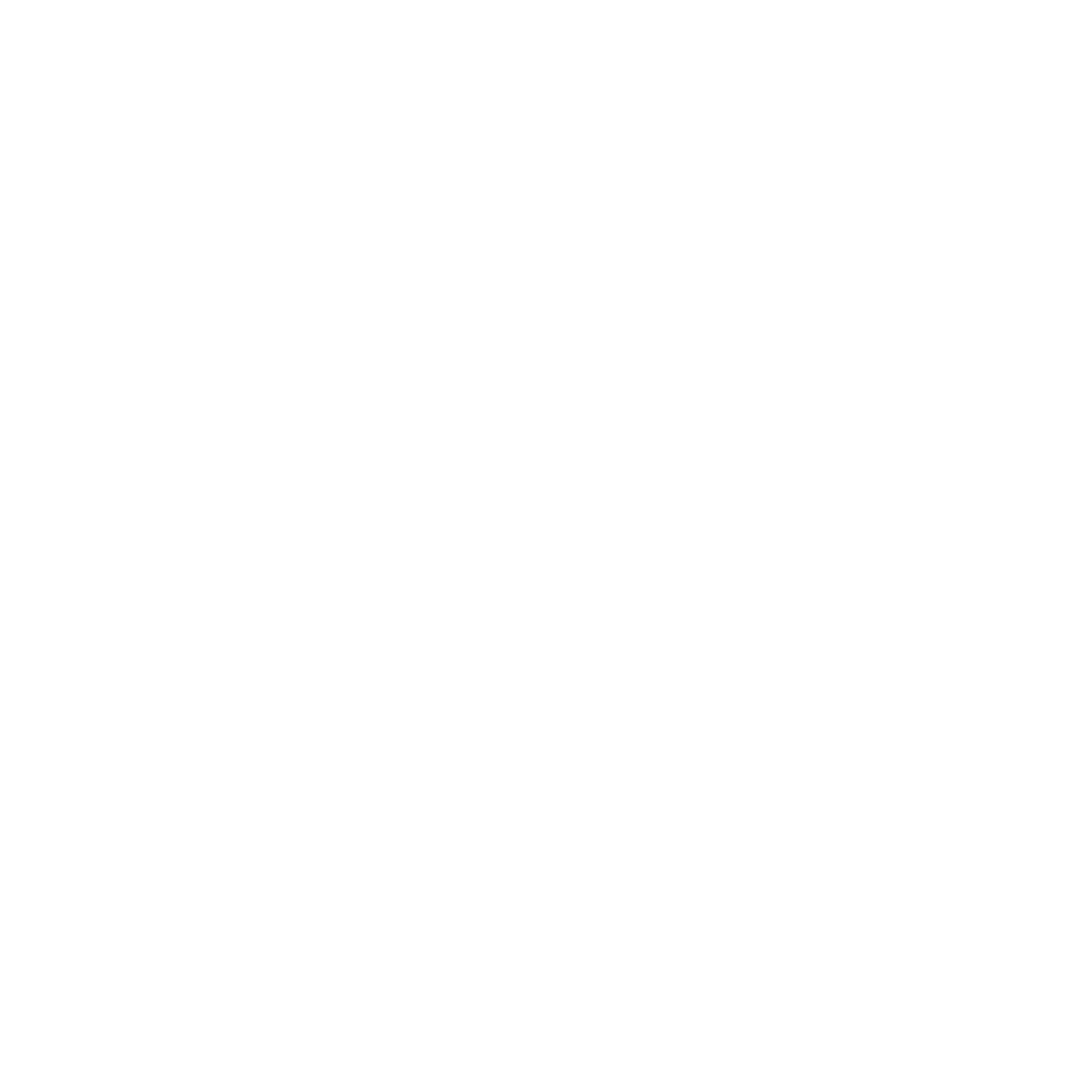 Sandro Nalić Kanzlei Logo